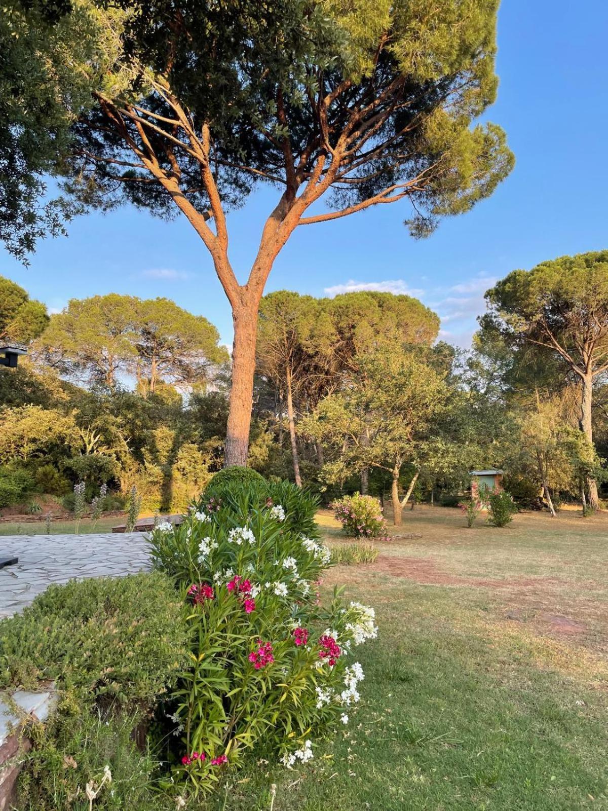 La Villa Le Cannet-des-Maures Exterior foto